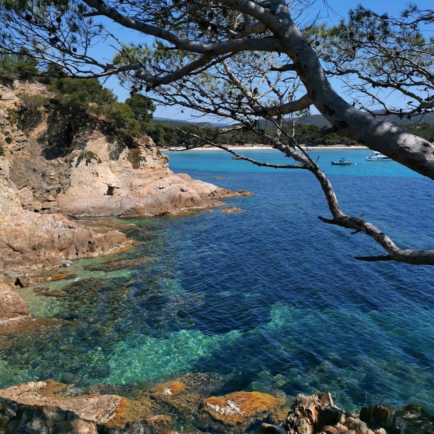 Studio A Hyeres Port - Proche De Toutes Commodites Exterior foto
